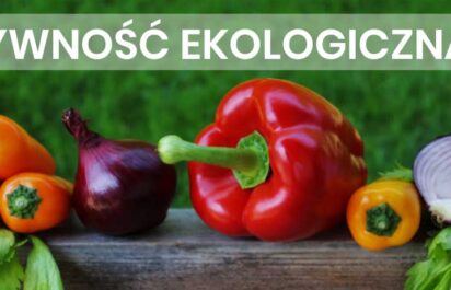 Żywność ekologiczna